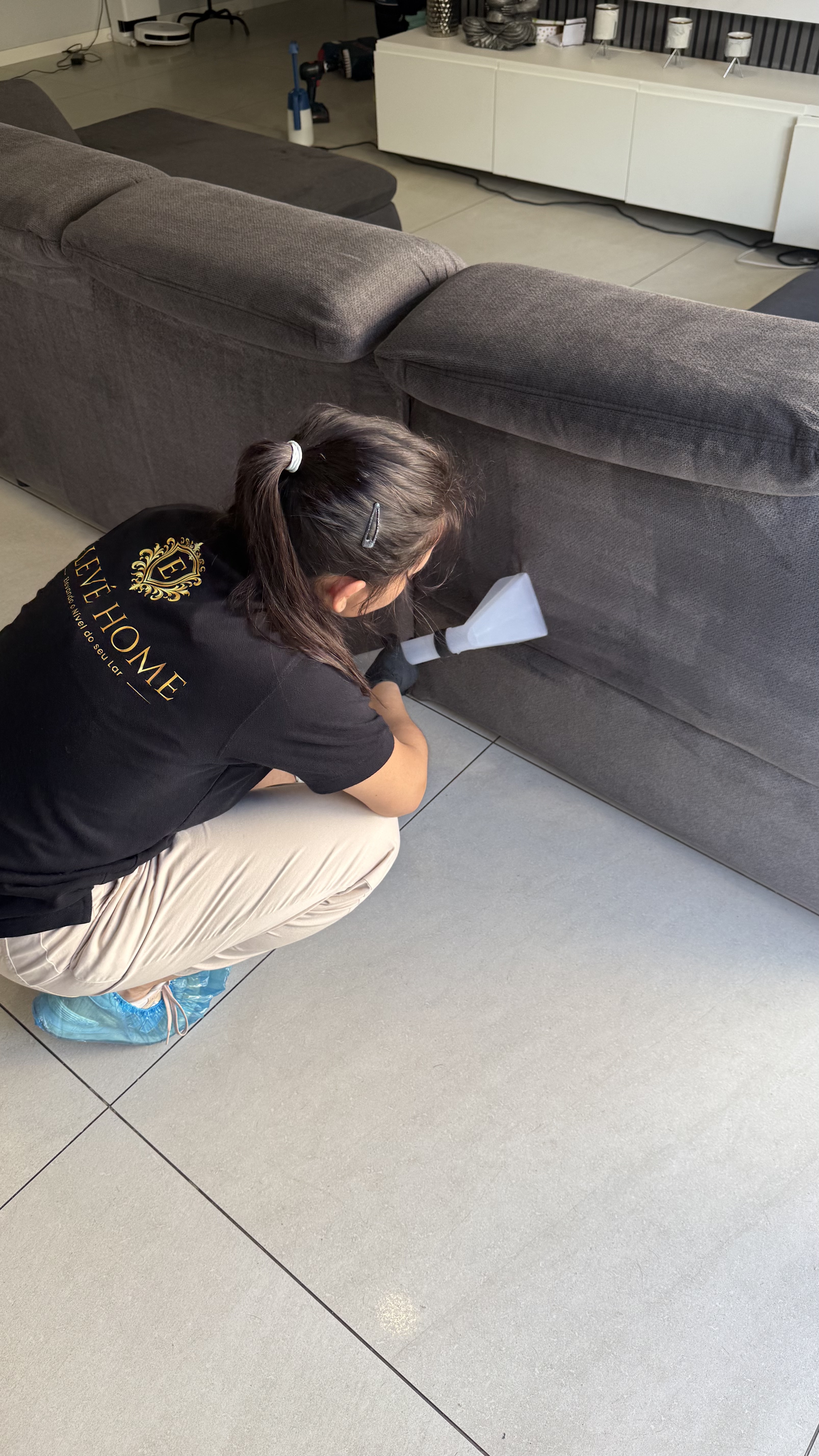 Higienização de Sofá em Detalhe
