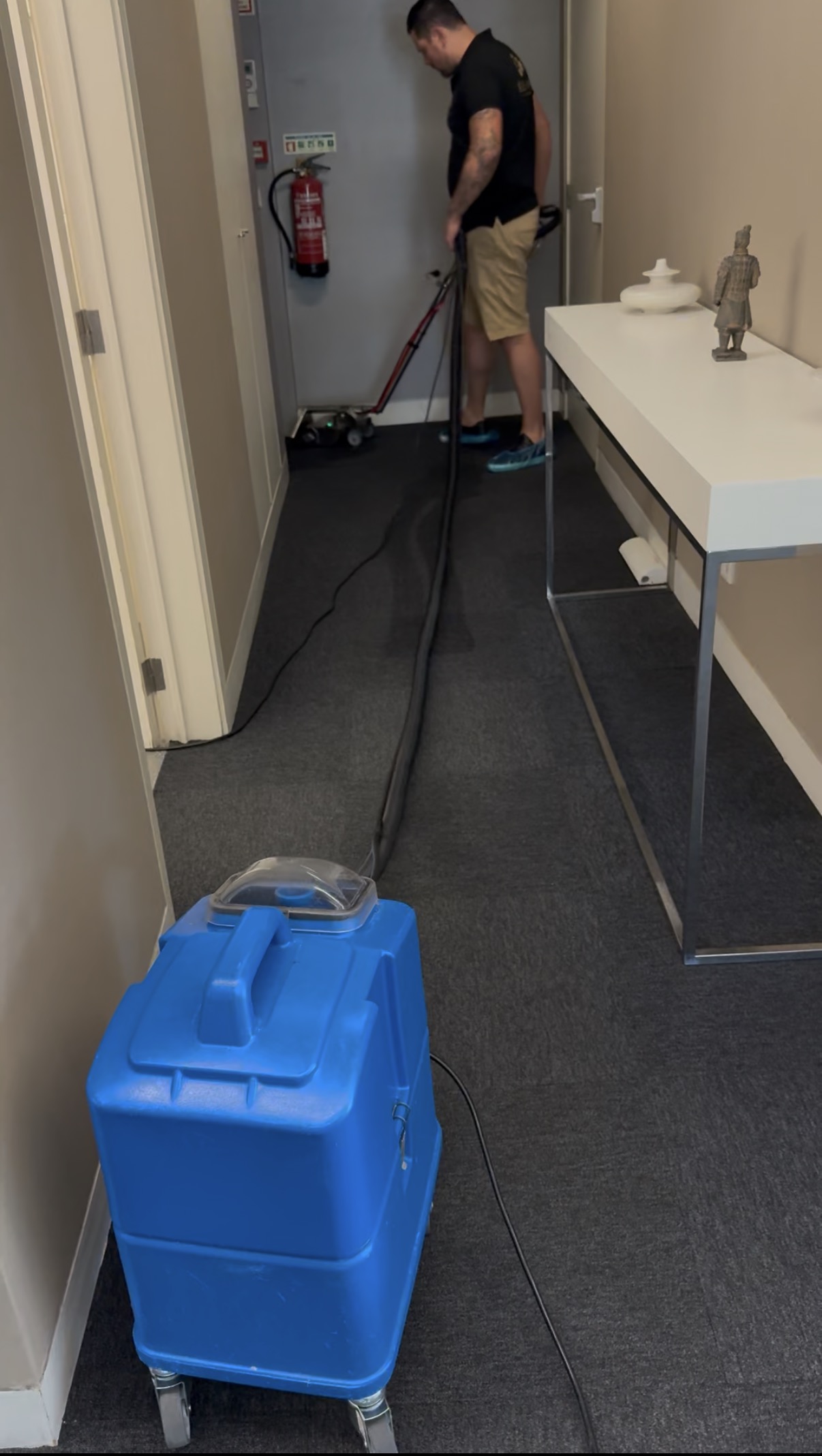 Limpeza profunda de tapetes e carpetes